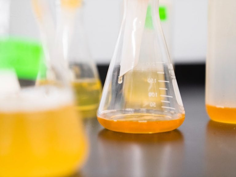 NonAlcoholic Beer Calories and Lowest Calorie Options