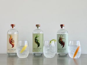 testing seedlip spirits in gin and tonic
